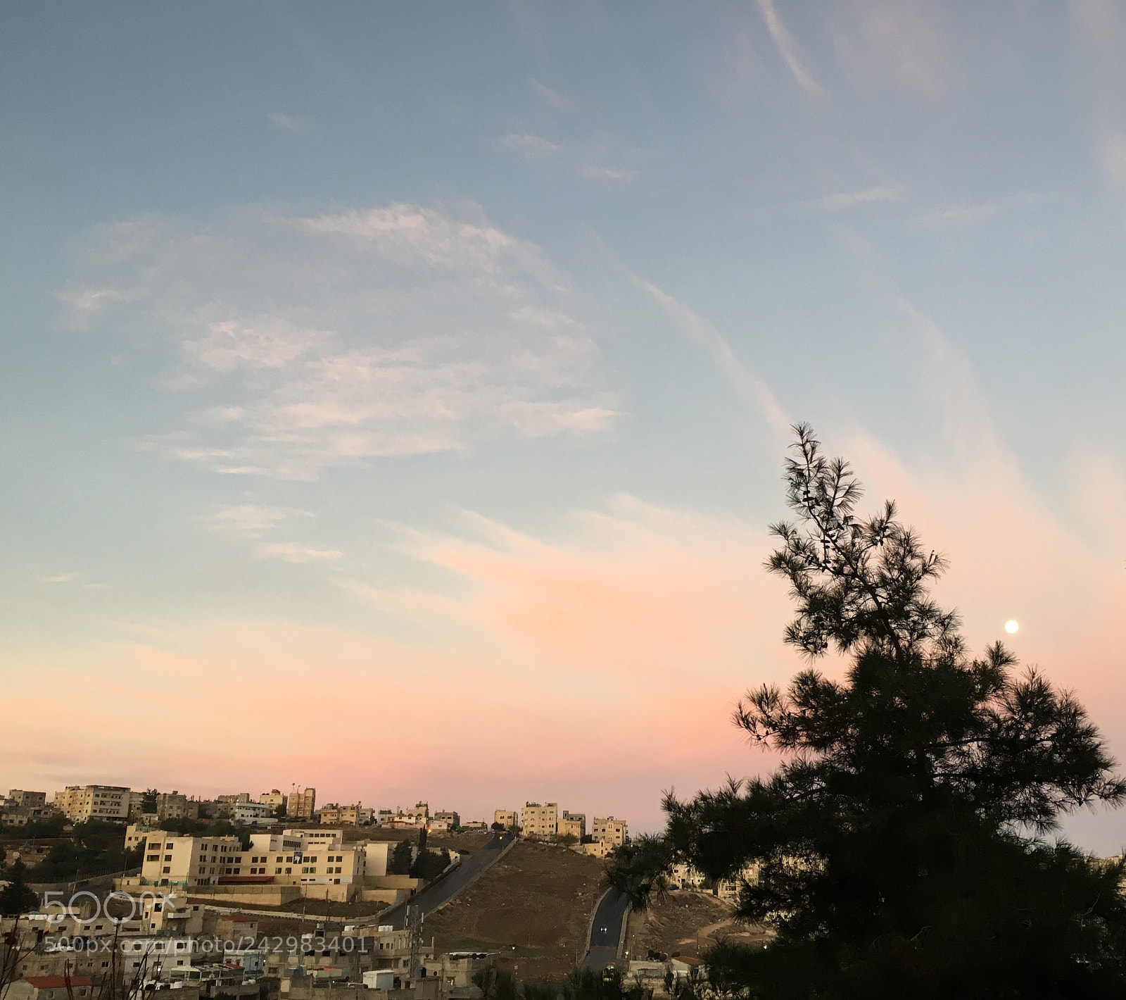 Apple iPhone 6s sample photo. Untitled photography