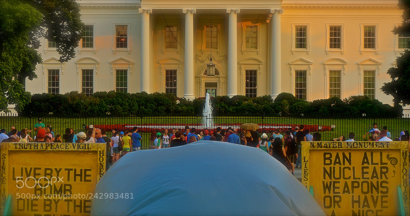 Sony Alpha NEX-3N sample photo. White house protest photography