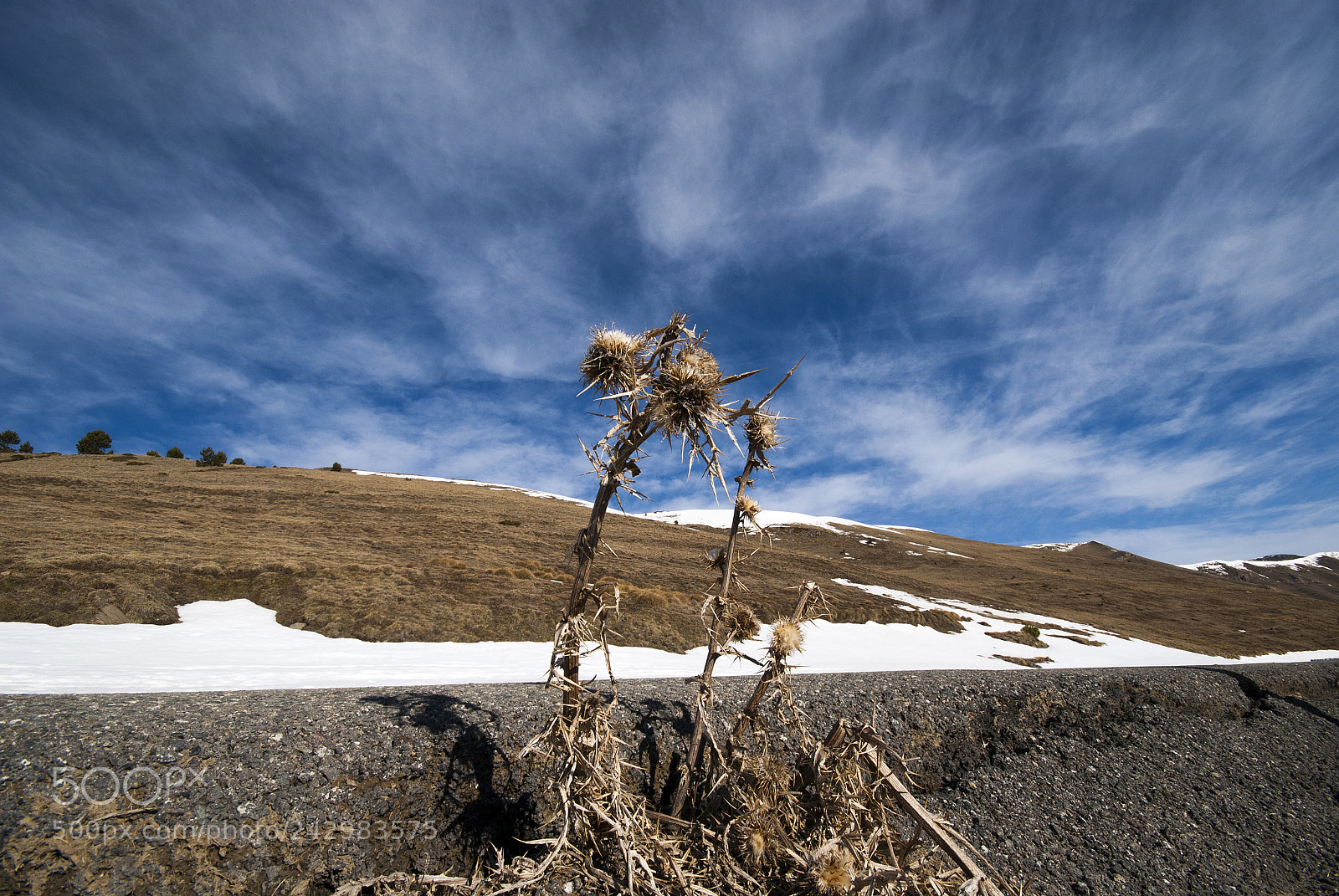 Nikon D200 sample photo. Imagen copia photography