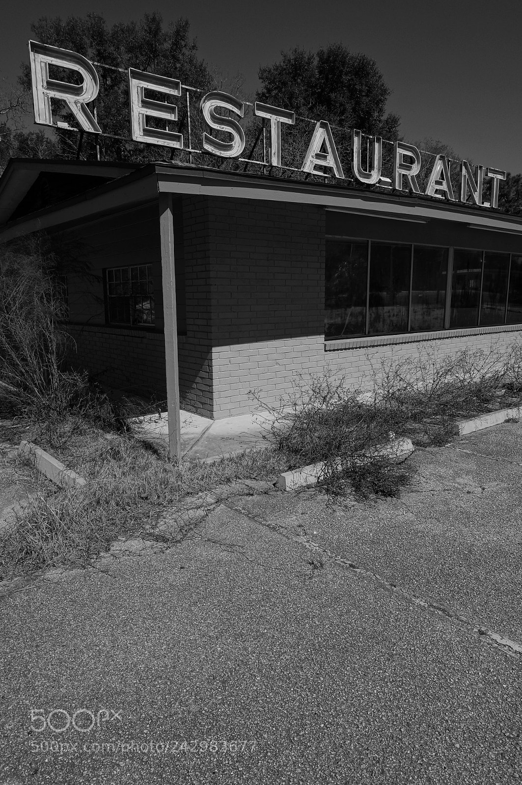 Sony Alpha NEX-3N sample photo. Daily specials photography