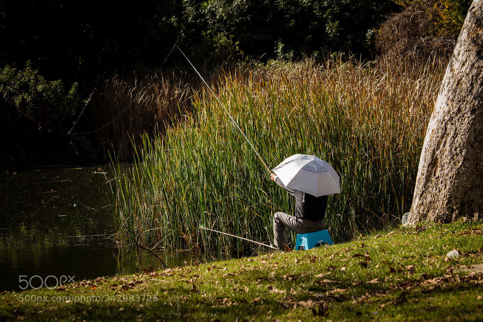 Canon EOS 700D (EOS Rebel T5i / EOS Kiss X7i) sample photo. Fisherman_umbrellahat photography