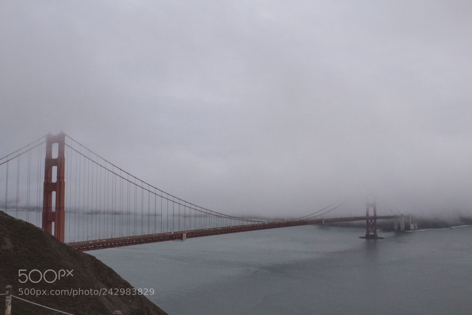 Canon EOS 1300D (EOS Rebel T6 / EOS Kiss X80) sample photo. Golden gate- serenah lee photography