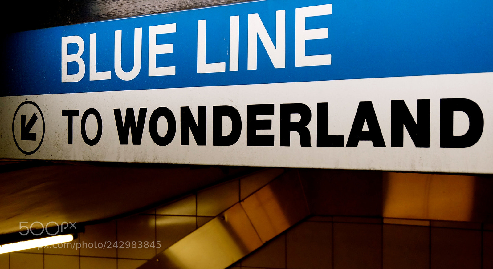 Sony Alpha NEX-3N sample photo. To wonderland photography