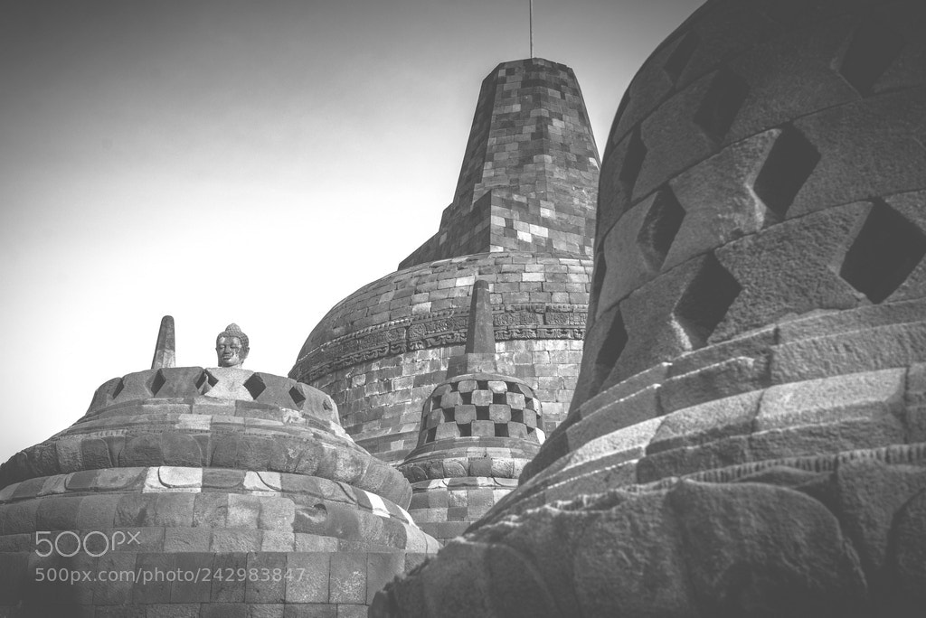 Nikon D610 sample photo. . photography