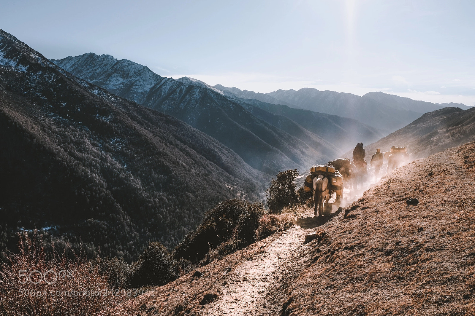 Fujifilm X-T2 sample photo. Tibetan horse caravan in photography