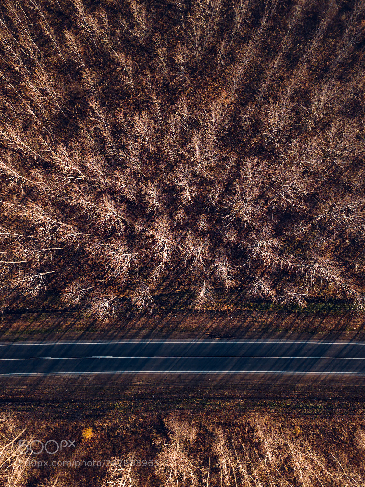 DJI FC220 sample photo. Aerial view of brand photography