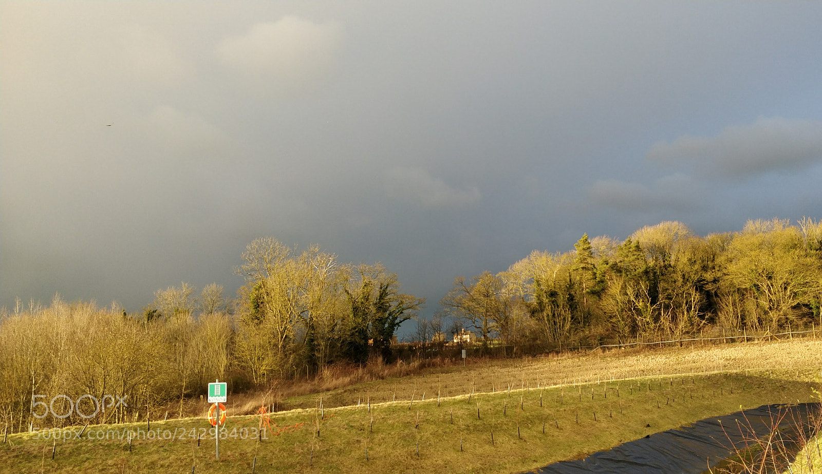 OnePlus 5T sample photo. Before the storm photography