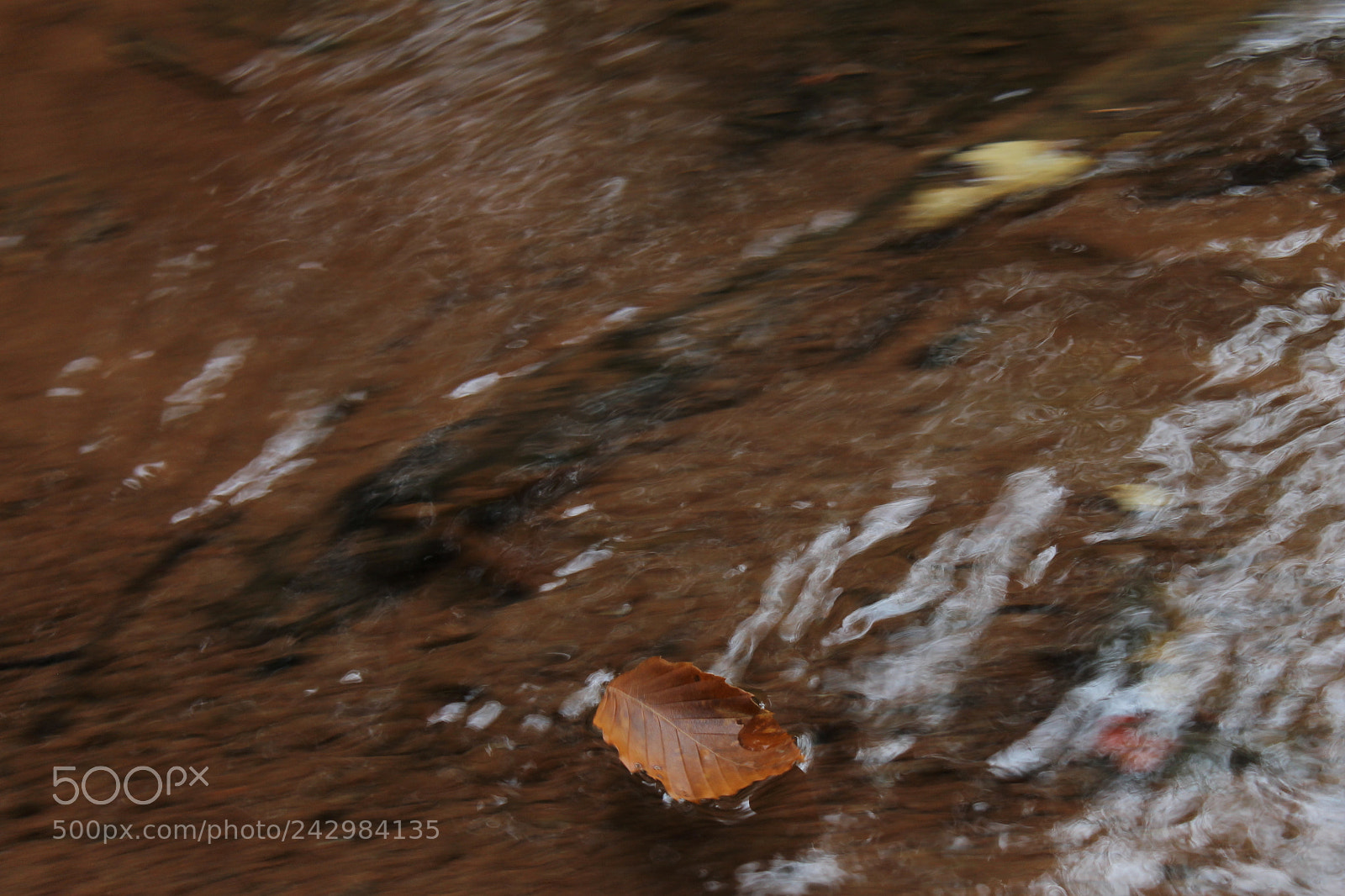 Canon EOS 1100D (EOS Rebel T3 / EOS Kiss X50) sample photo. Floating away (unedited) photography