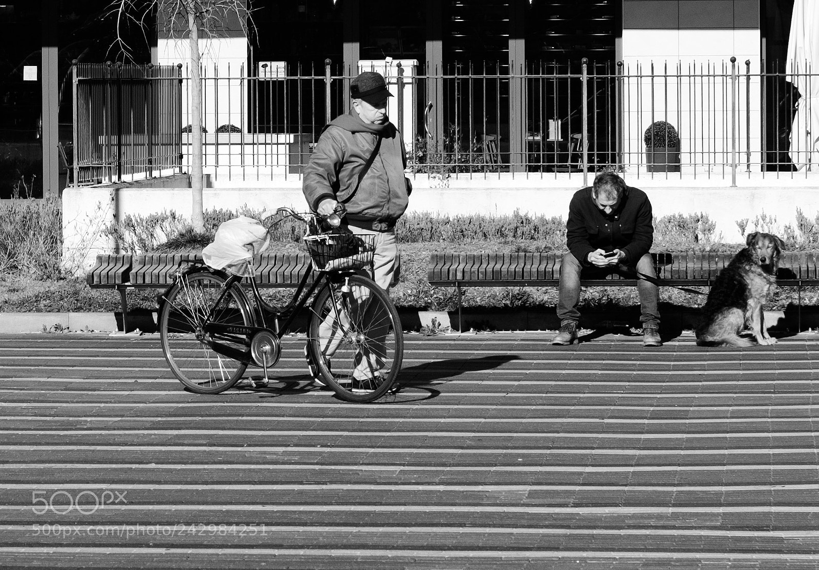 Fujifilm X-Pro2 sample photo. Slow photography
