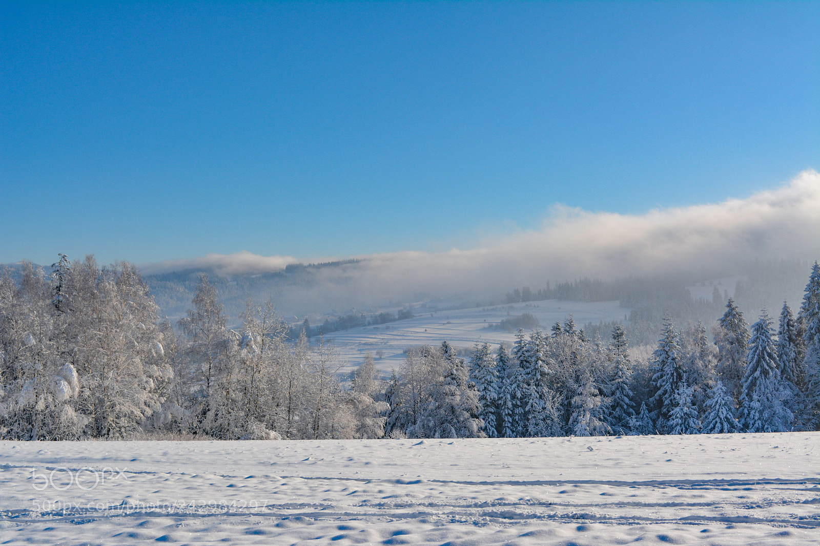 Nikon D5200 sample photo. Winter photography