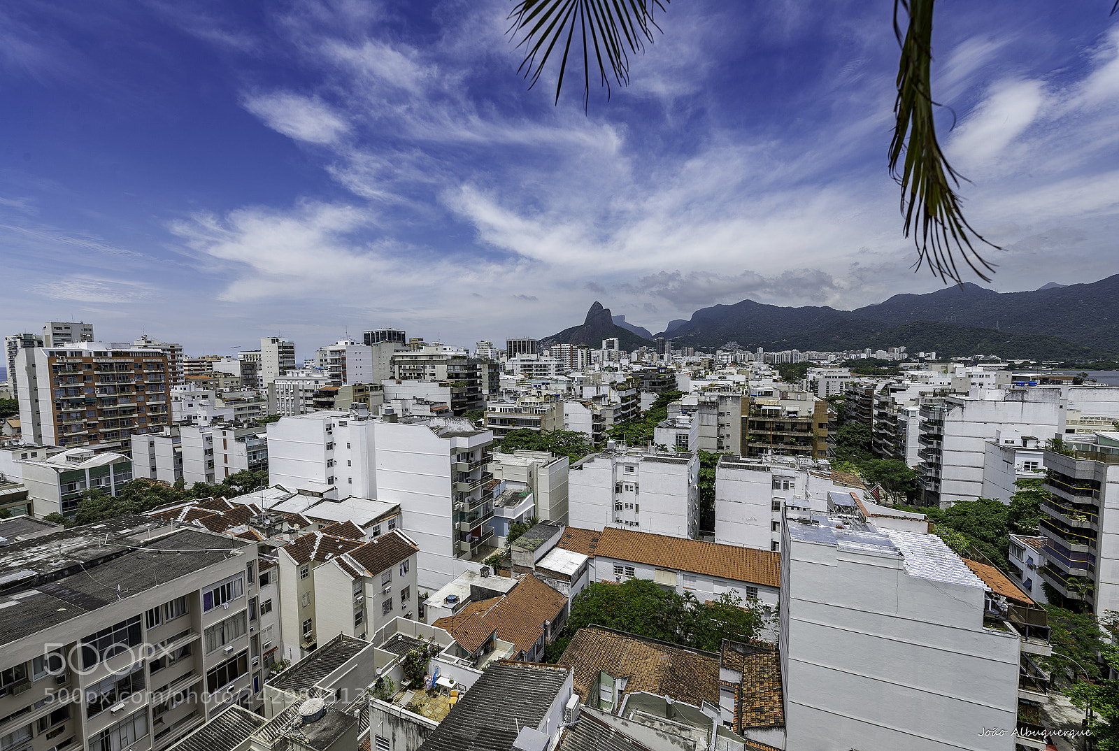 Nikon D600 sample photo. Home summer view #2 photography