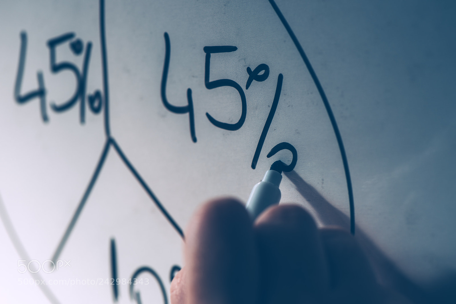 Nikon D810 sample photo. Businesswoman drawing pie chart photography
