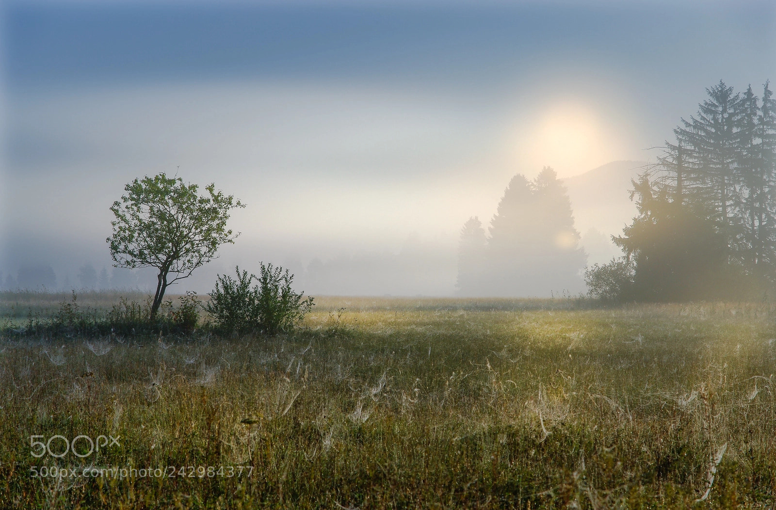 Pentax K20D sample photo. Misty sunrise photography