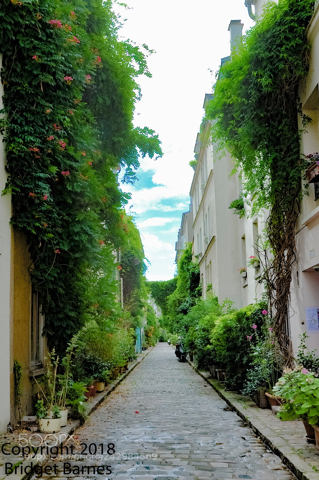 Nikon D90 sample photo. Paris's sweet secret street photography
