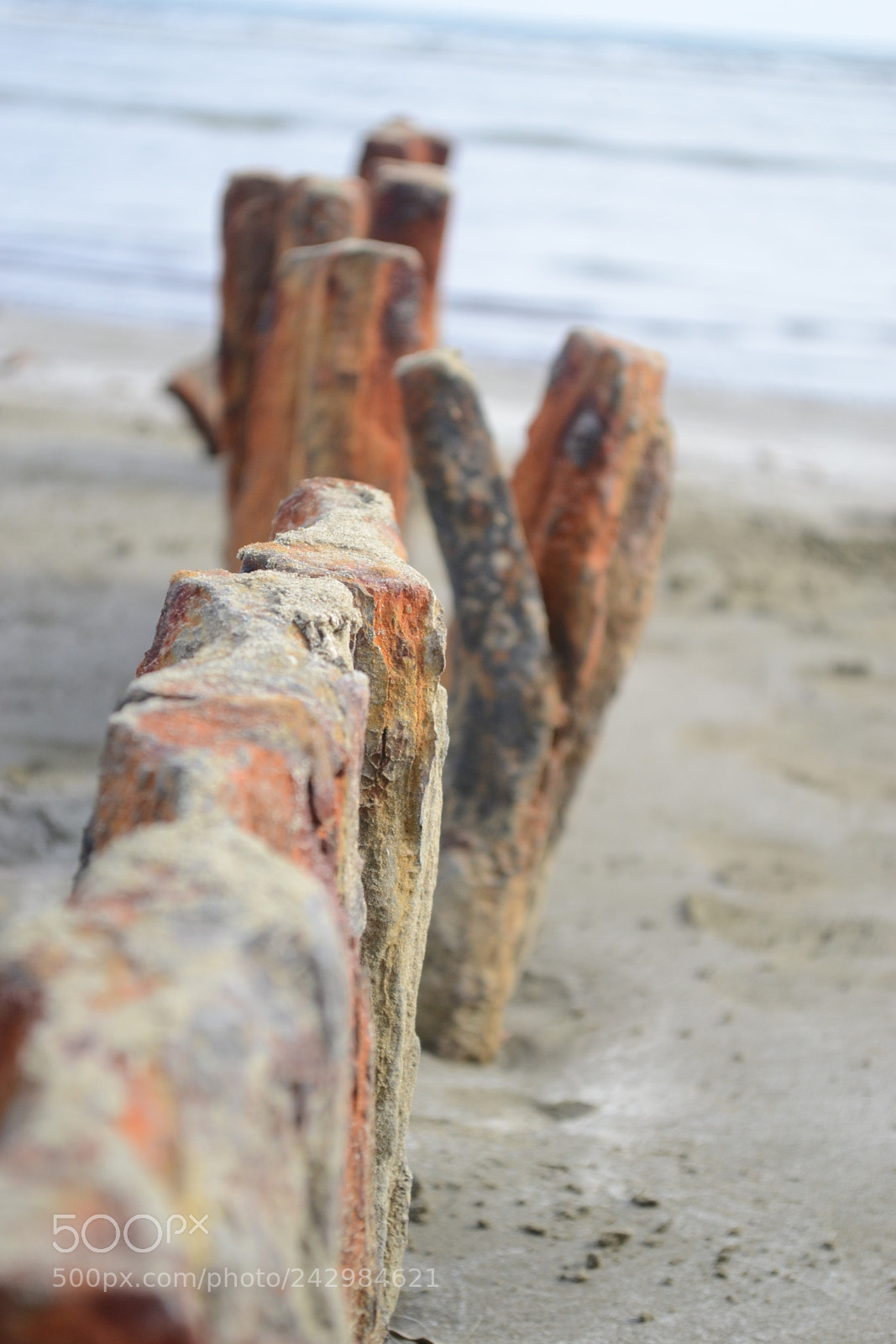 Nikon D3100 sample photo. Next to the sea photography