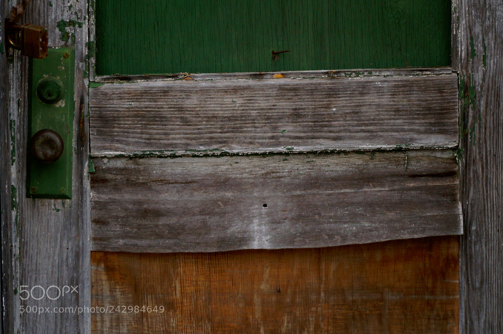 Sony Alpha NEX-3N sample photo. Beauty in decay photography