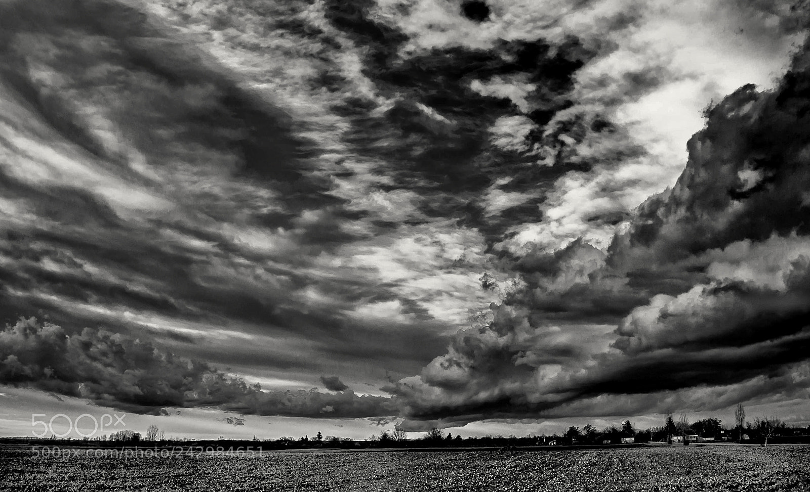 Nikon D3000 sample photo. The storm photography
