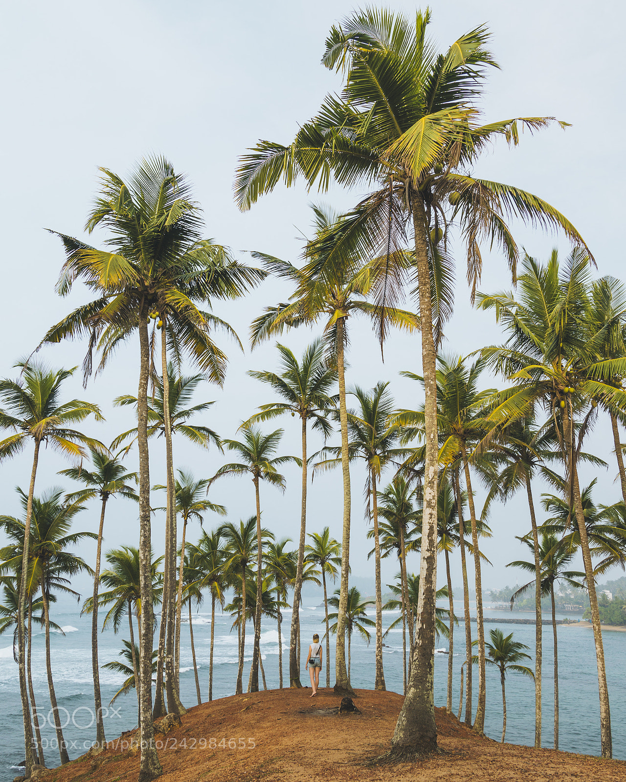 Nikon D3200 sample photo. Sri lankan vibes photography