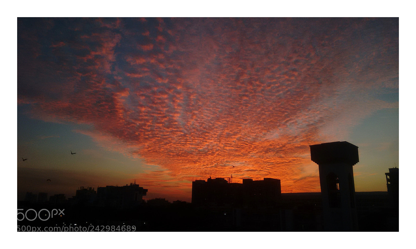 Motorola Moto G (2nd Gen) sample photo. C l i c photography