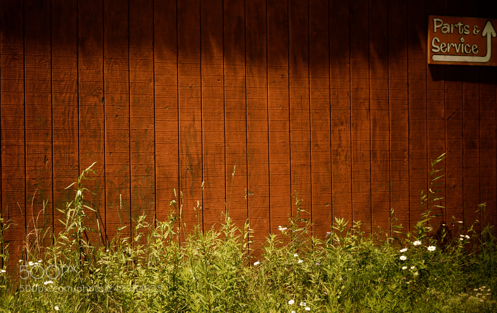 Sony Alpha NEX-3N sample photo. Urban decay photography