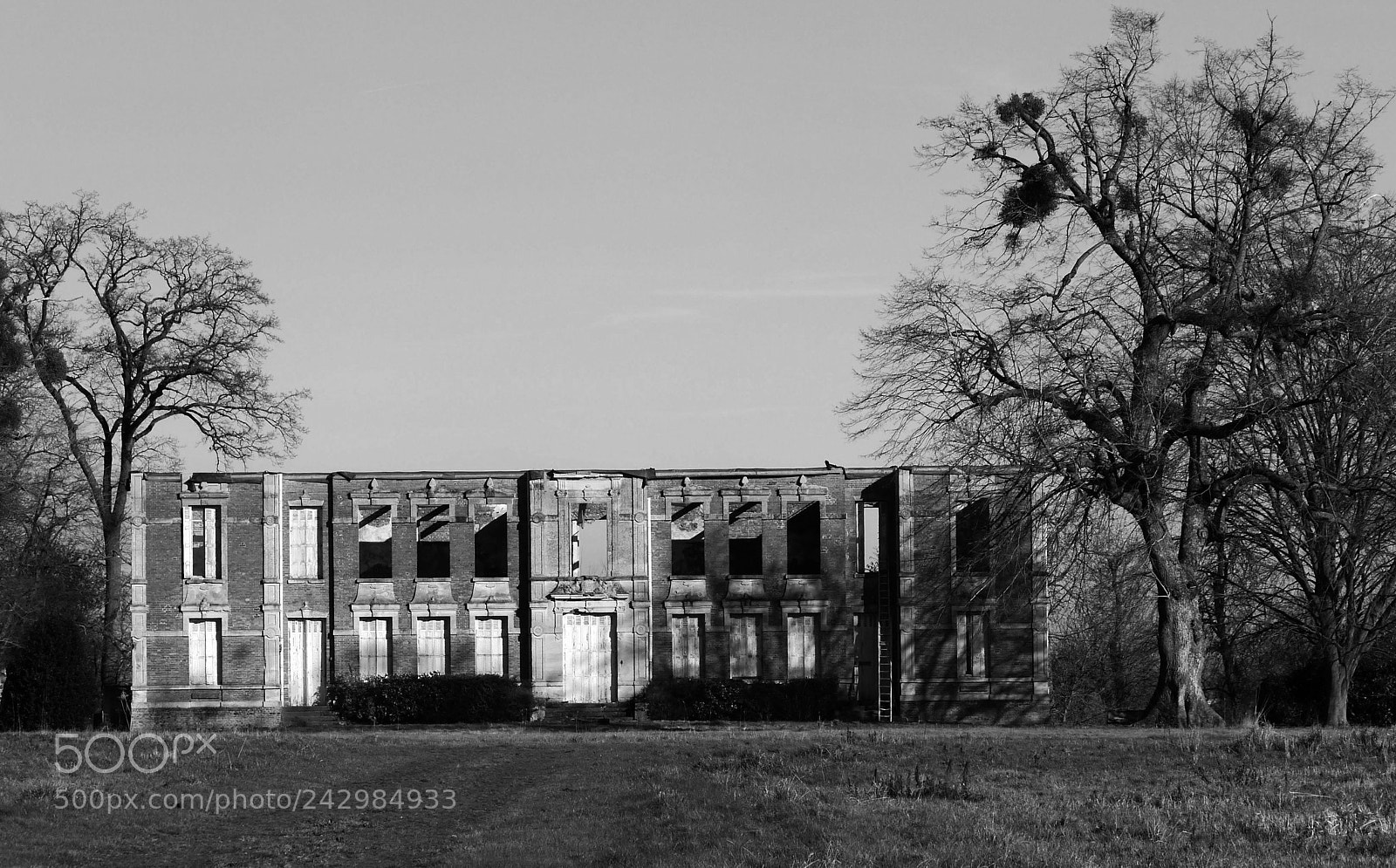 Panasonic Lumix DMC-G5 sample photo. Allee des chateaux b photography
