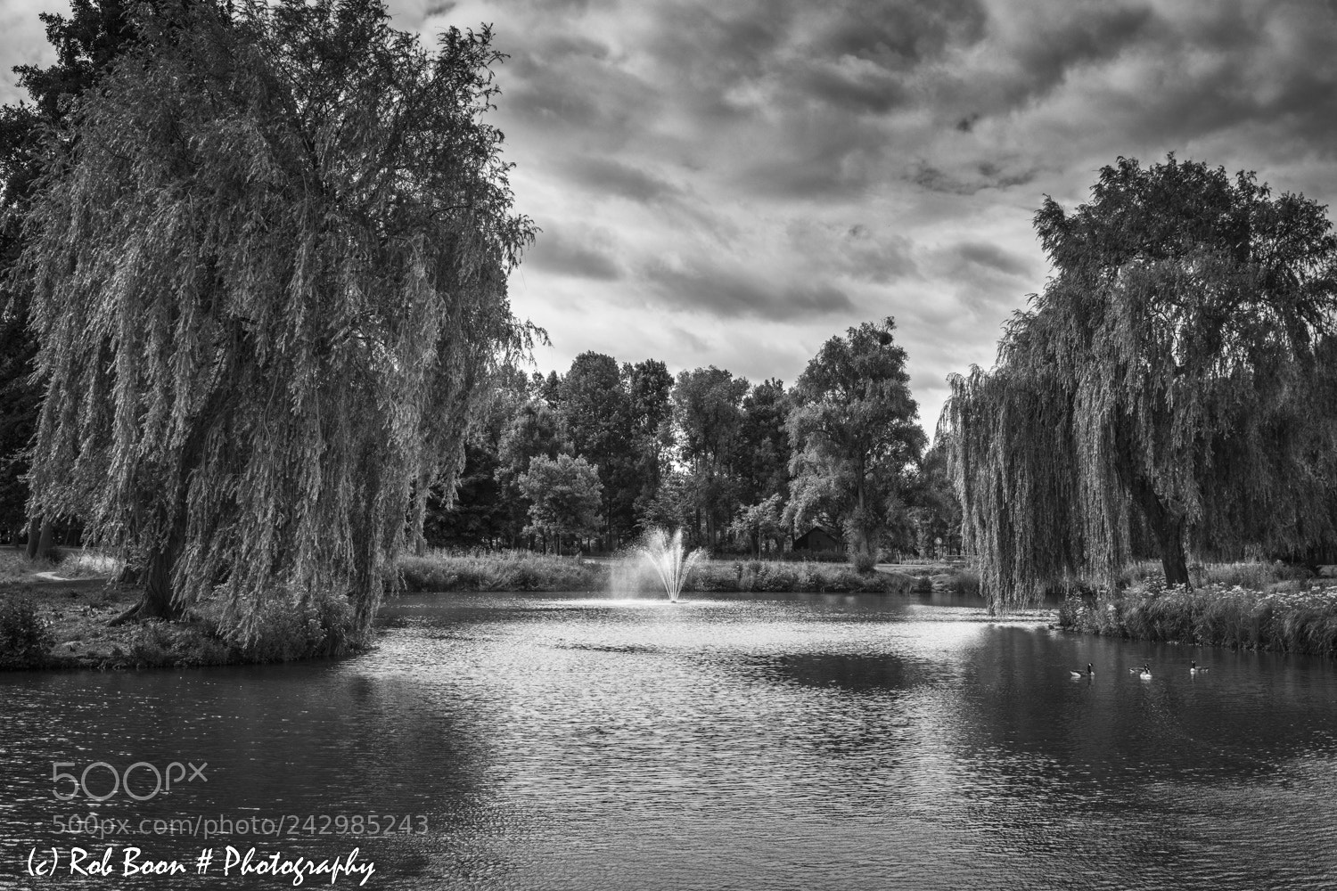 Canon EOS 5DS sample photo. Park @ voerendaal photography