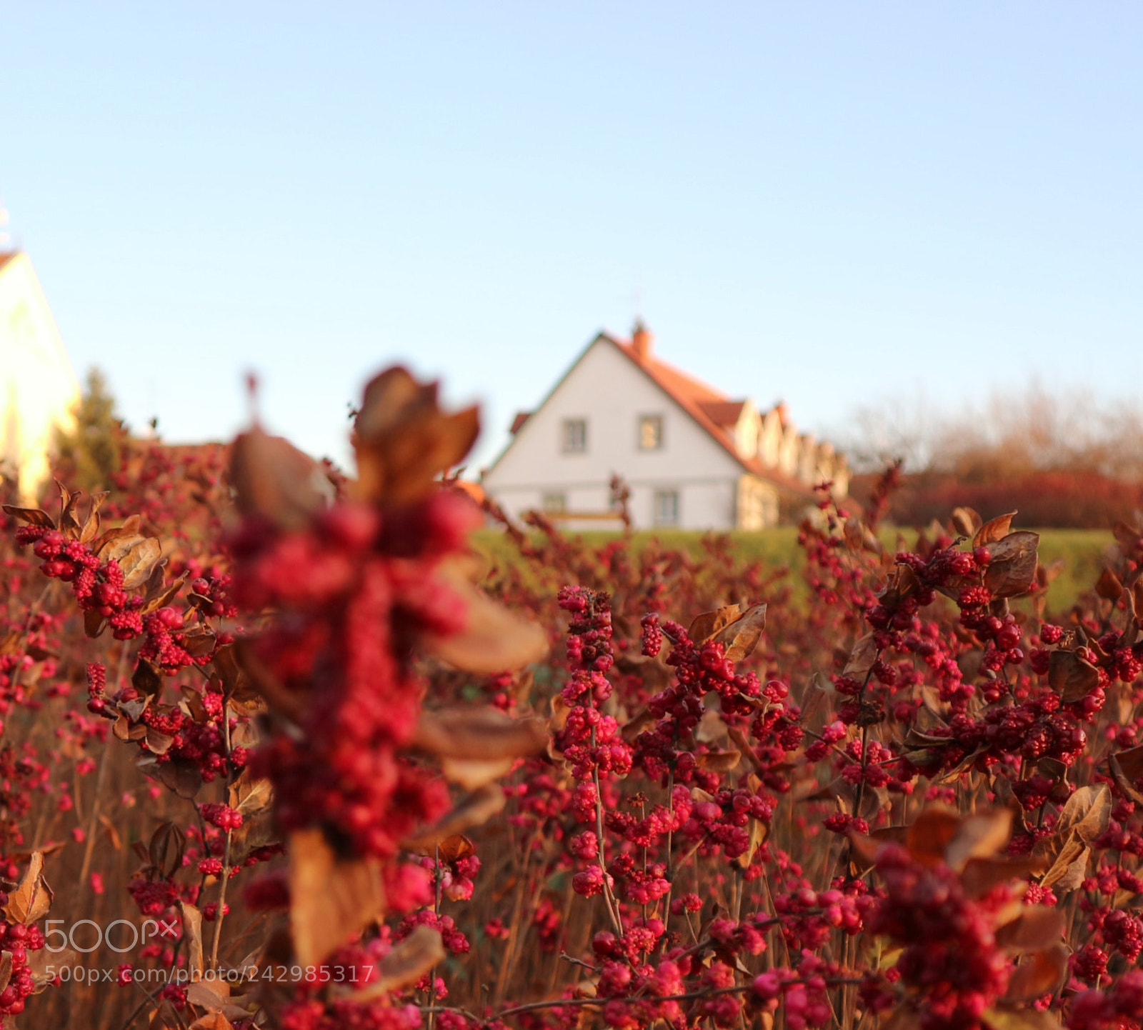 Canon EOS M10 sample photo. Blur photography