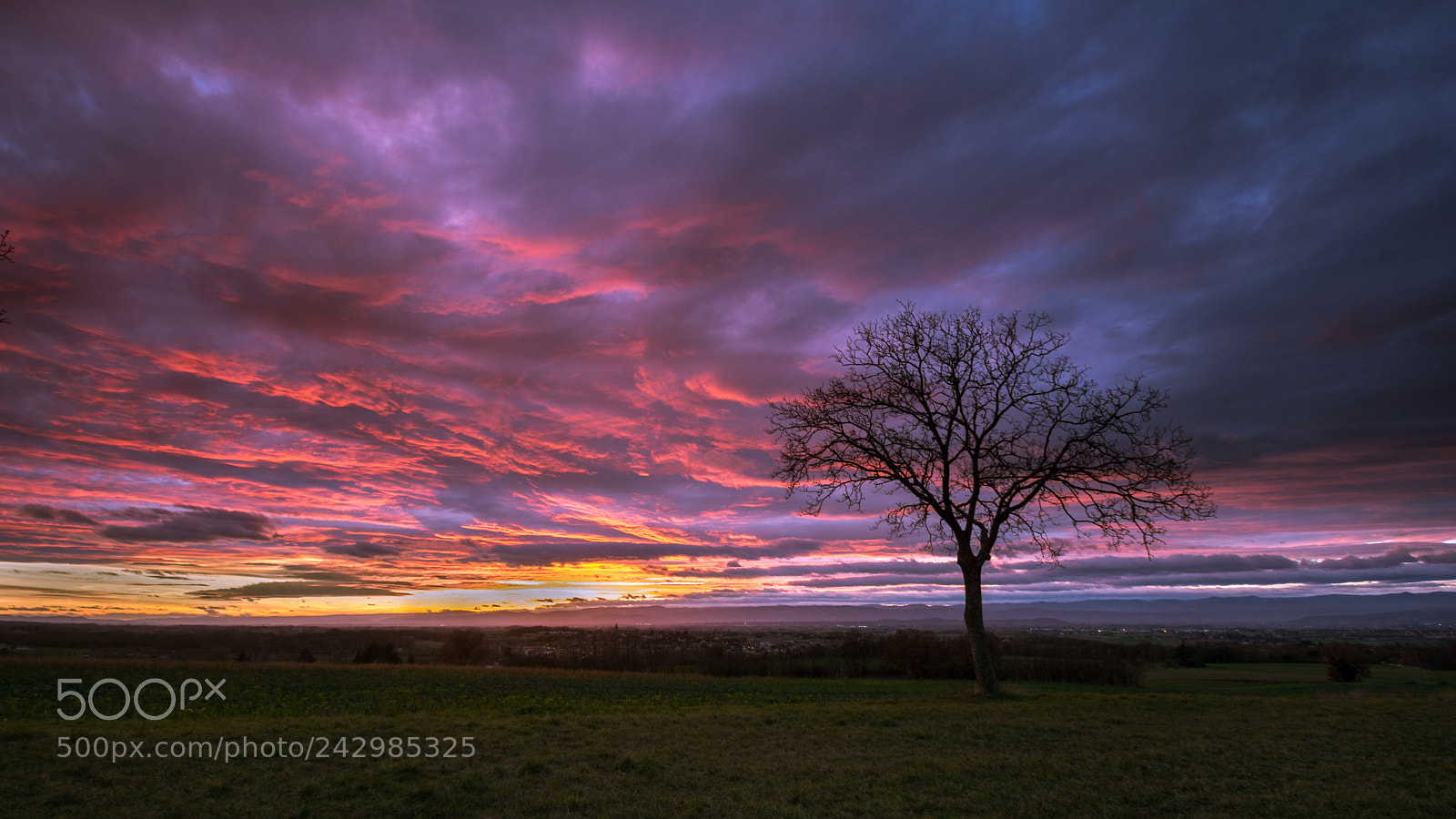 Nikon D7100 sample photo. De belles couleurs photography