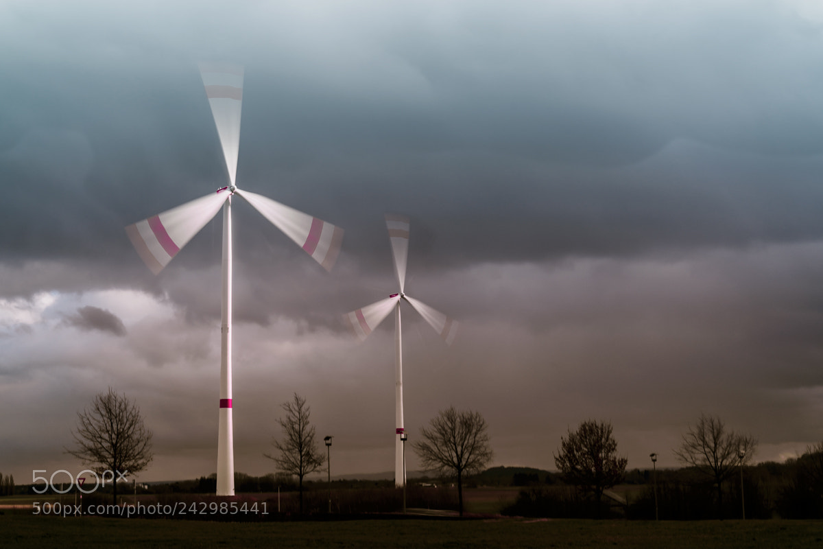 Nikon D610 sample photo. Dutch landscape photography