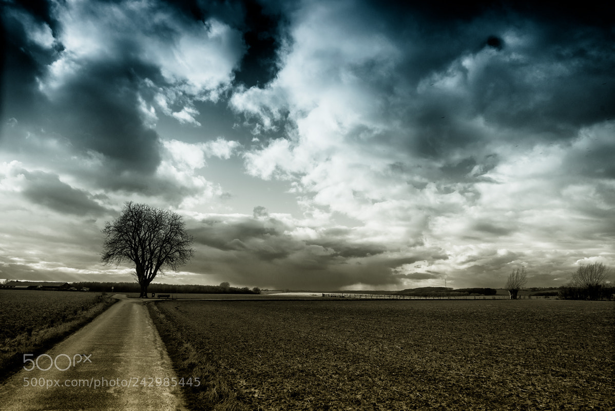 Nikon D610 sample photo. Dutch landscape photography