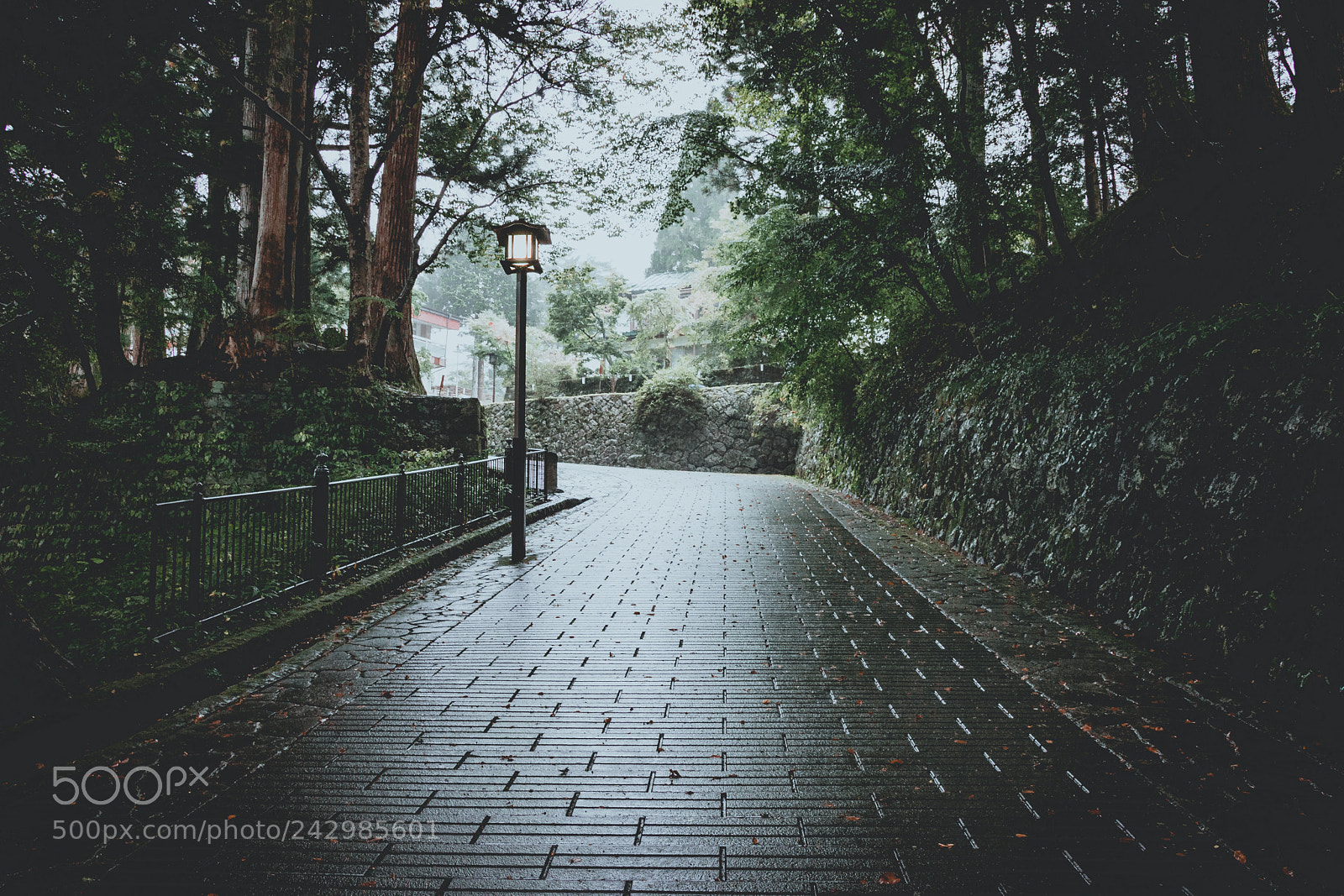 Canon EOS 760D (EOS Rebel T6s / EOS 8000D) sample photo. Japan - nikko photography