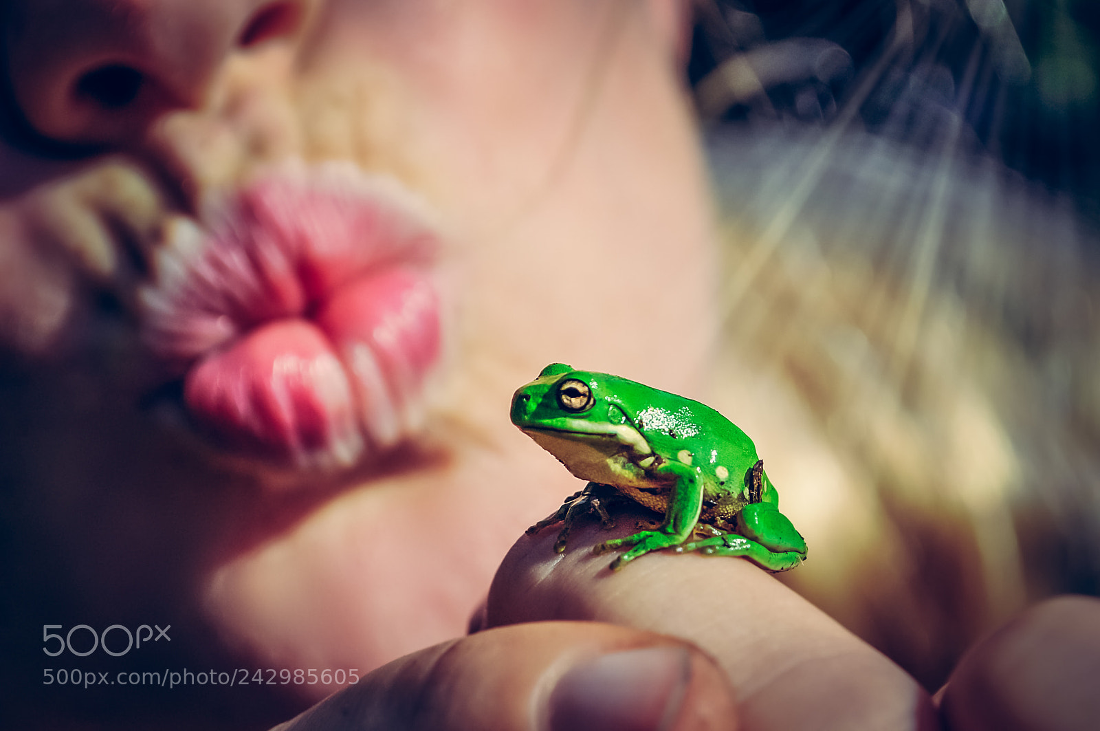 Nikon D5000 sample photo. Frog king photography