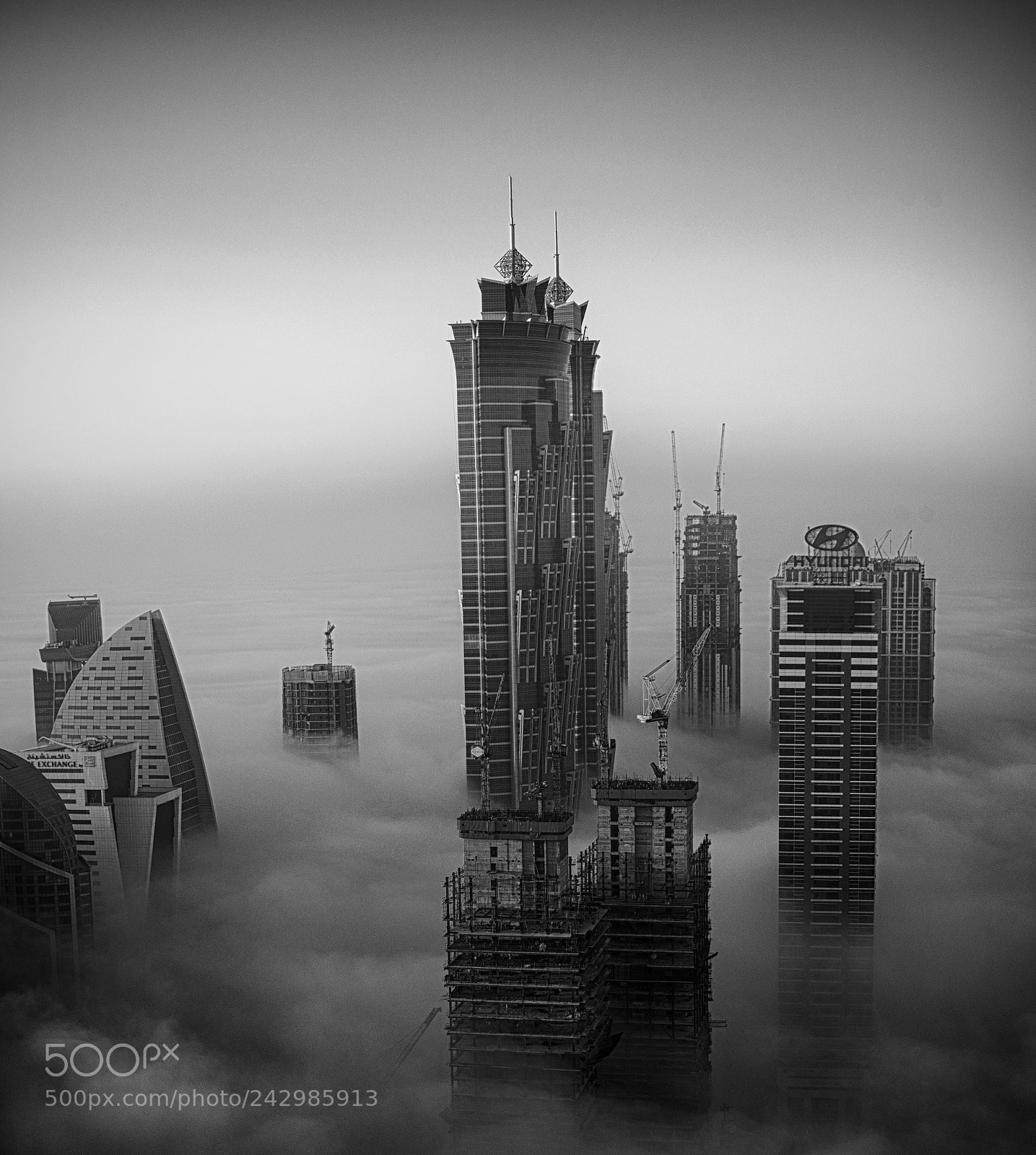 Nikon D90 sample photo. A foggy sunrise (05) photography