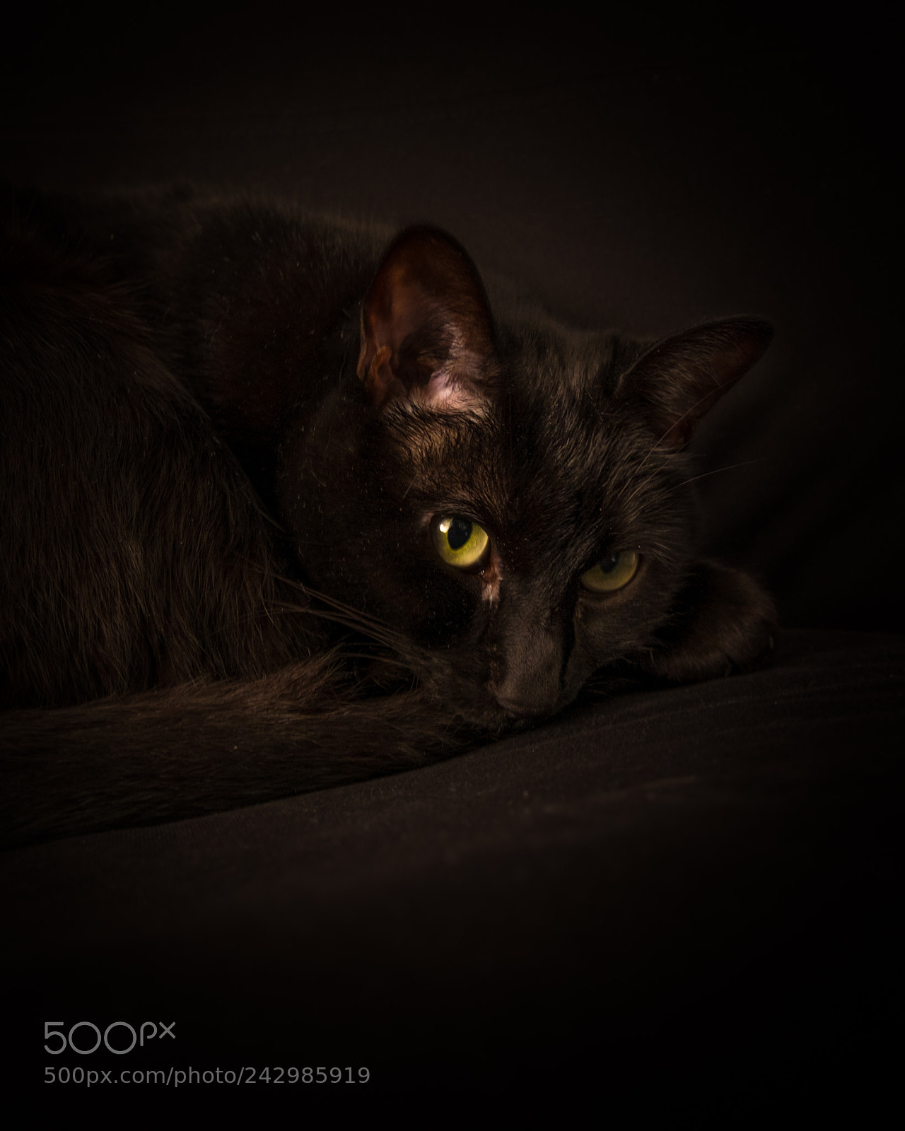Fujifilm X-T10 sample photo. Cosco look photography