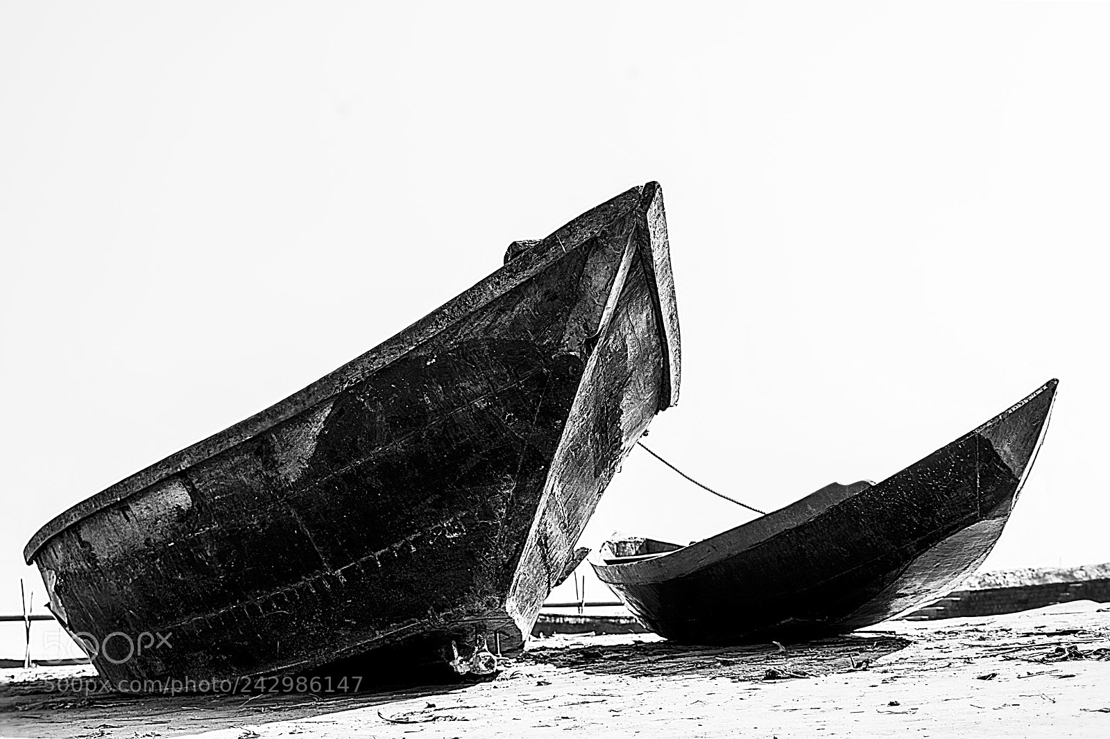 Nikon D7100 sample photo. Untitled photography