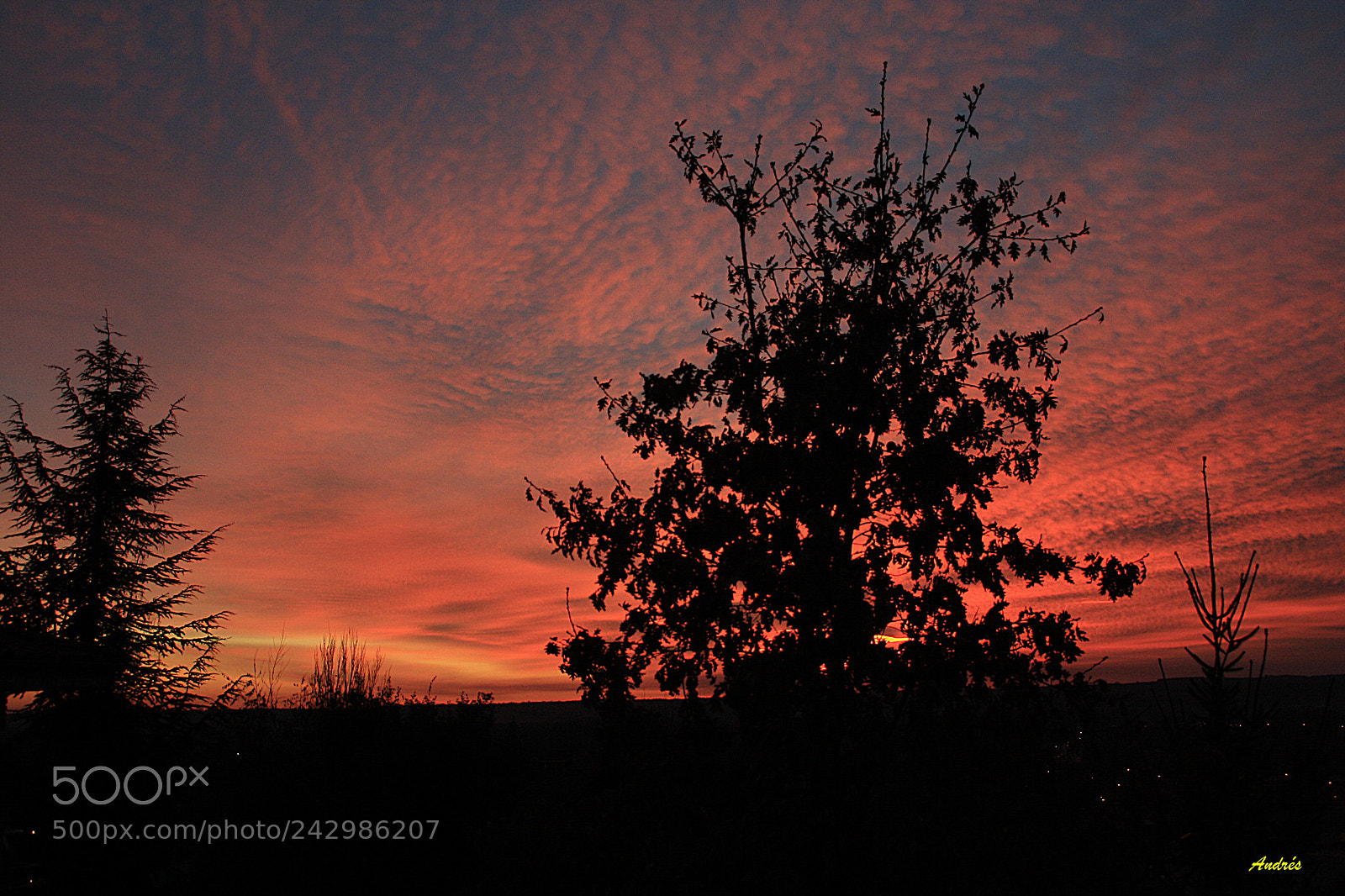 Canon EOS 1000D (EOS Digital Rebel XS / EOS Kiss F) sample photo. Ocaso en rojo photography