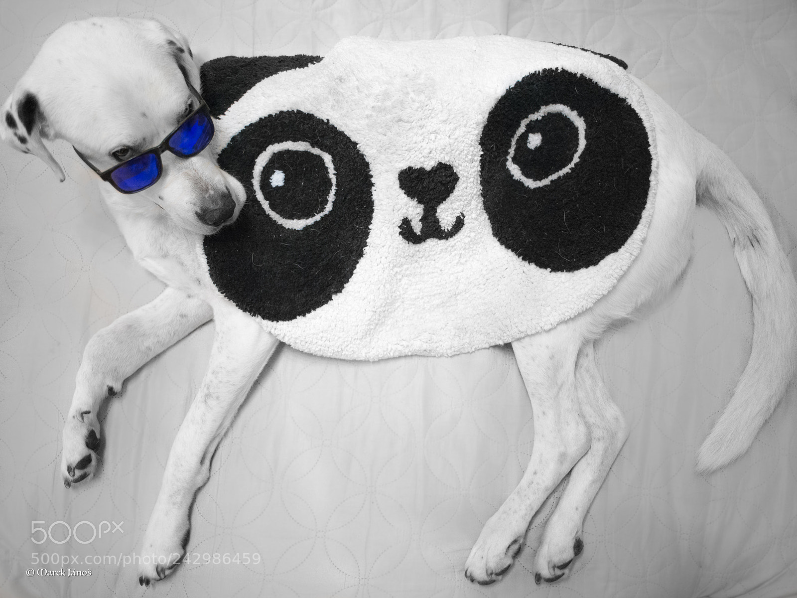 Nikon D800 sample photo. Akira's glamour photoshoot photography