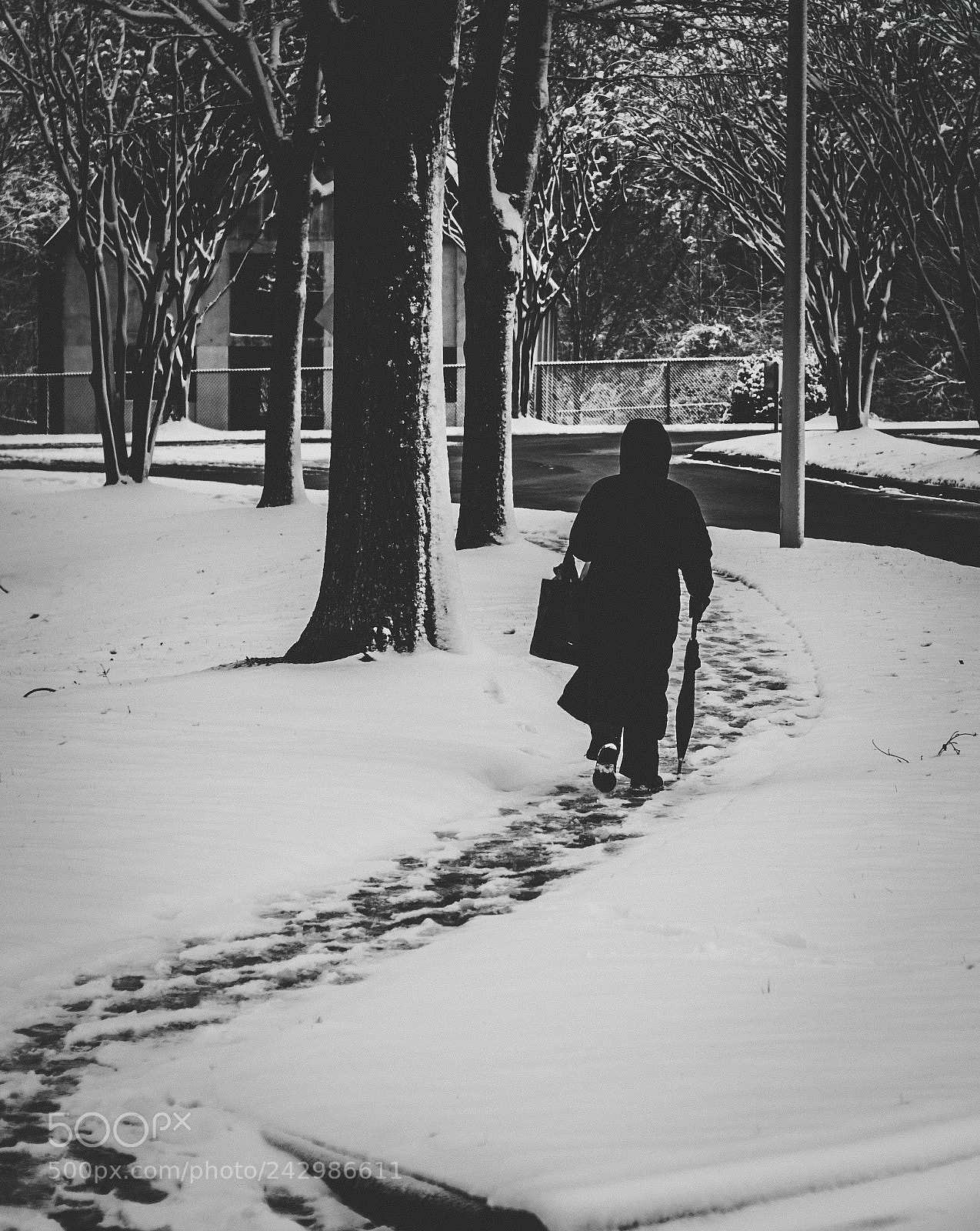 Nikon D90 sample photo. A long walk home photography