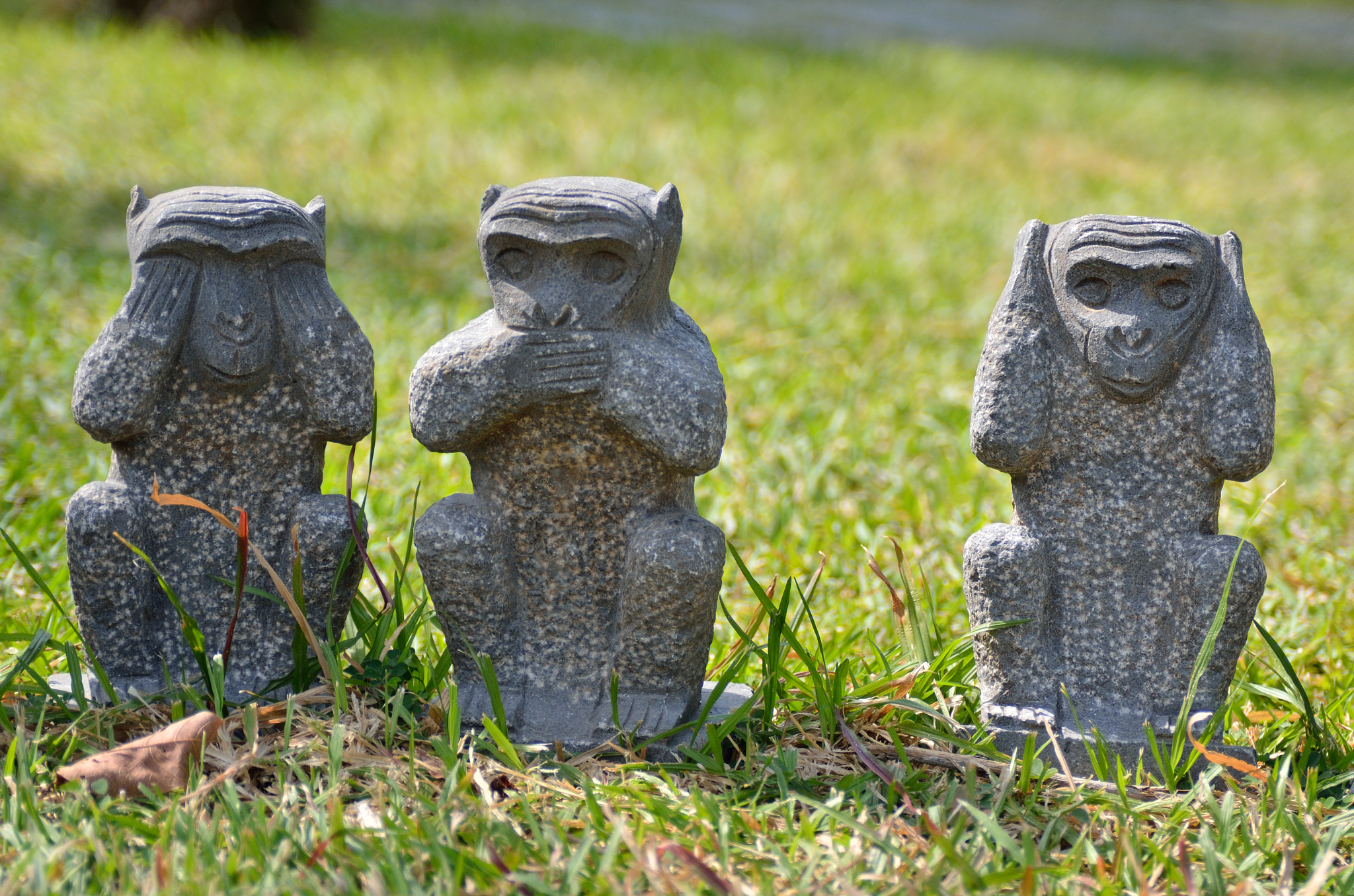 Nikon D7000 + AF Zoom-Nikkor 28-105mm f/3.5-4.5D IF sample photo. Three wise monkeys photography