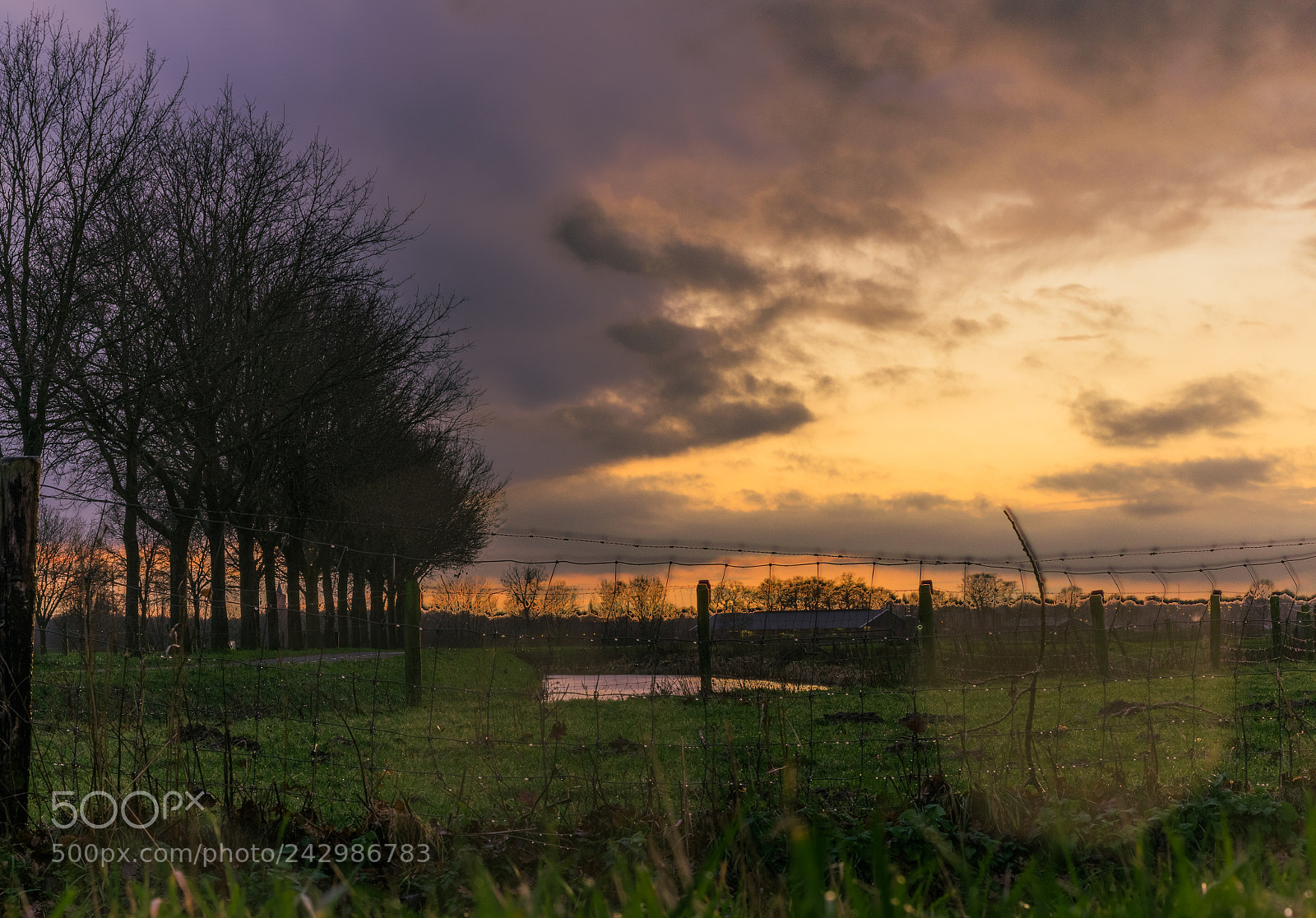Canon EOS 60D sample photo. Colourful landscape photography