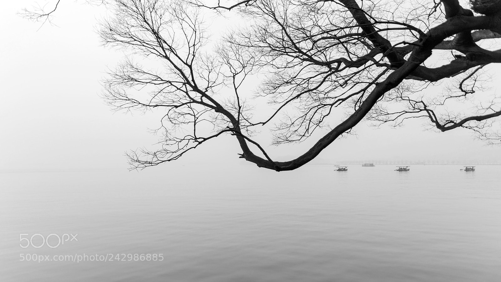 Sony a7 II sample photo. West lake, hangzhou photography