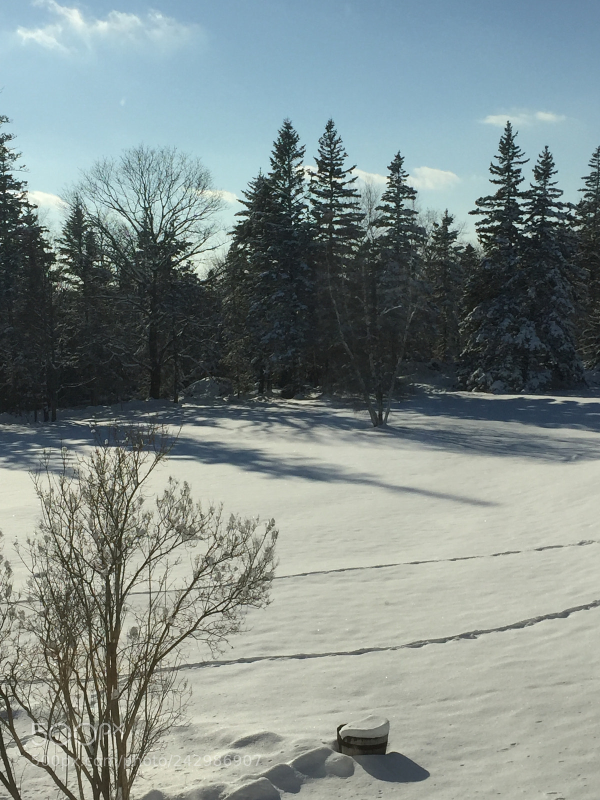 Apple iPhone 6 sample photo. Winter wonderland in maine photography