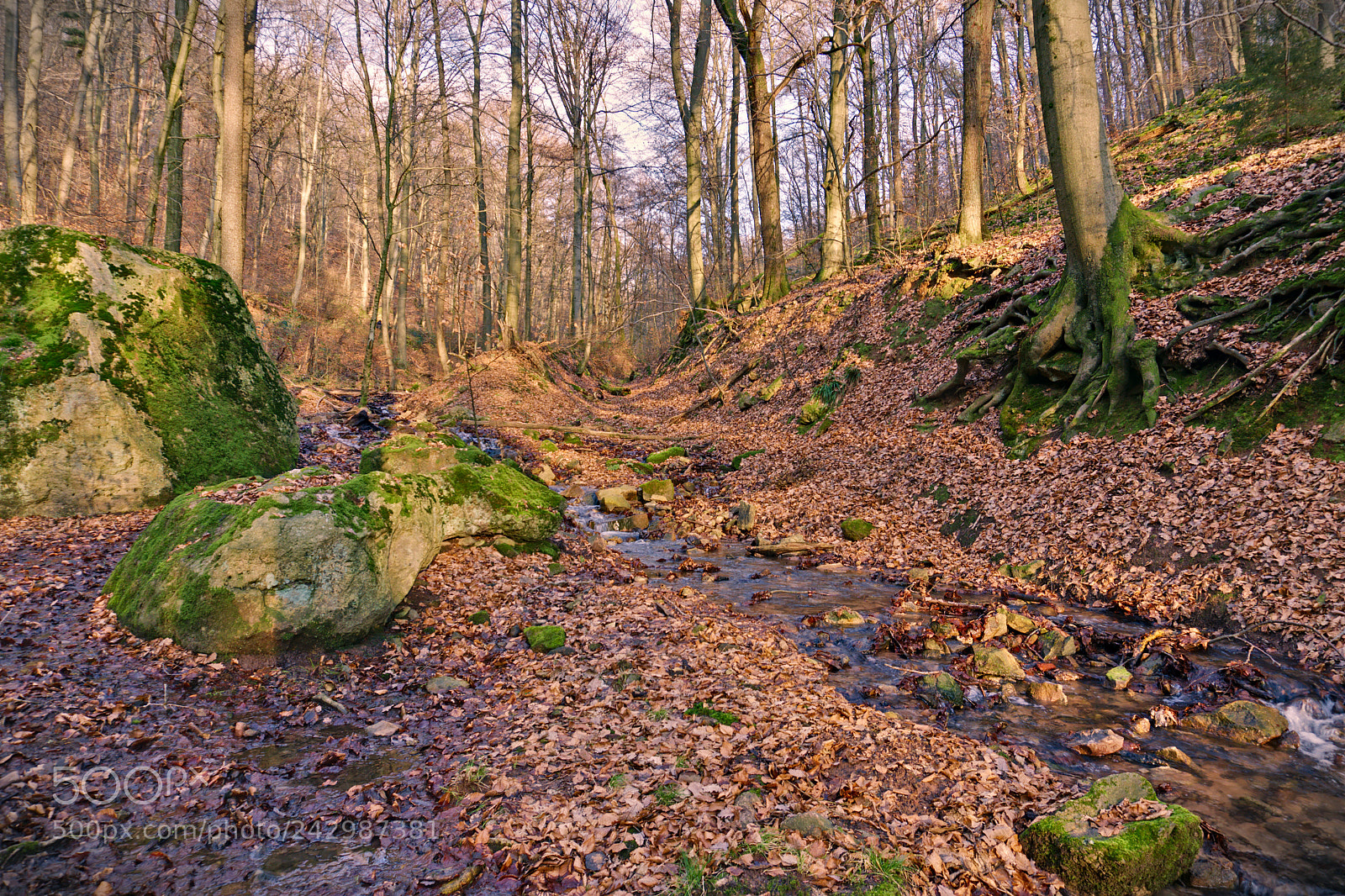 Sony a6300 sample photo. Little rivulet ii. photography