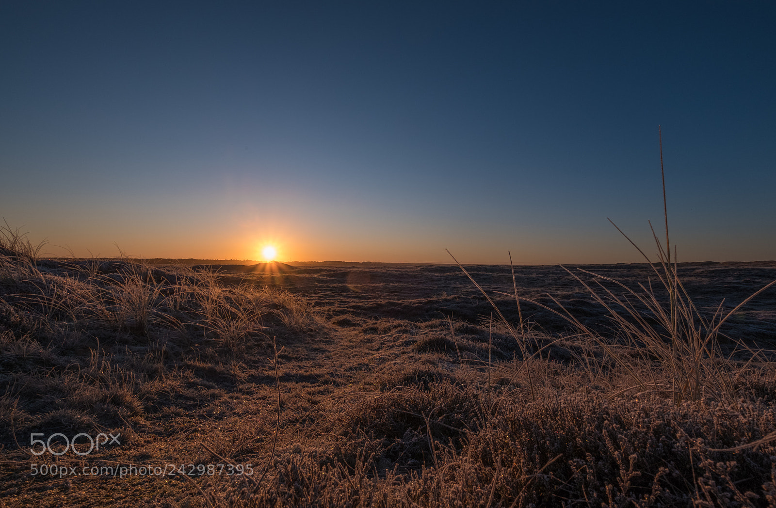 Fujifilm X-T2 sample photo. Sonnenaufgang über dänemark 3 photography