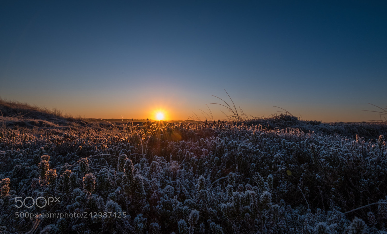 Fujifilm X-T2 sample photo. Sonnenaufgang über dänemark photography