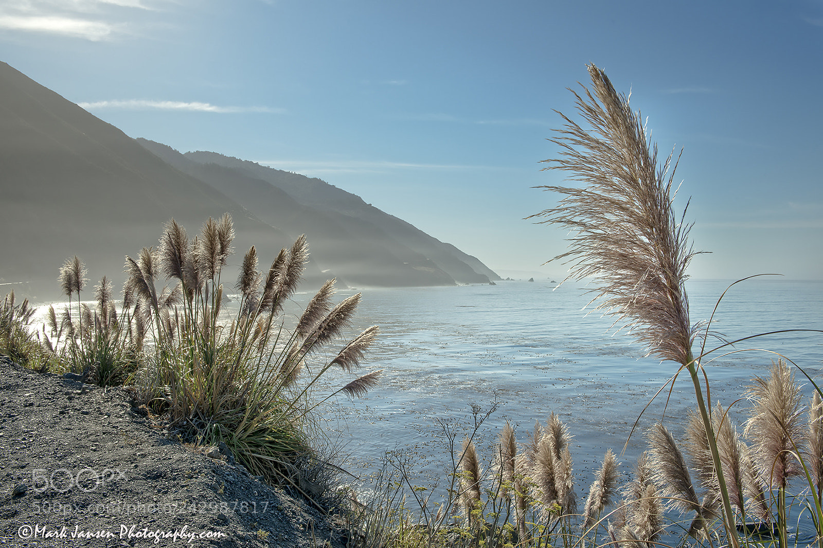 Nikon D800E sample photo. Sea oats on the photography