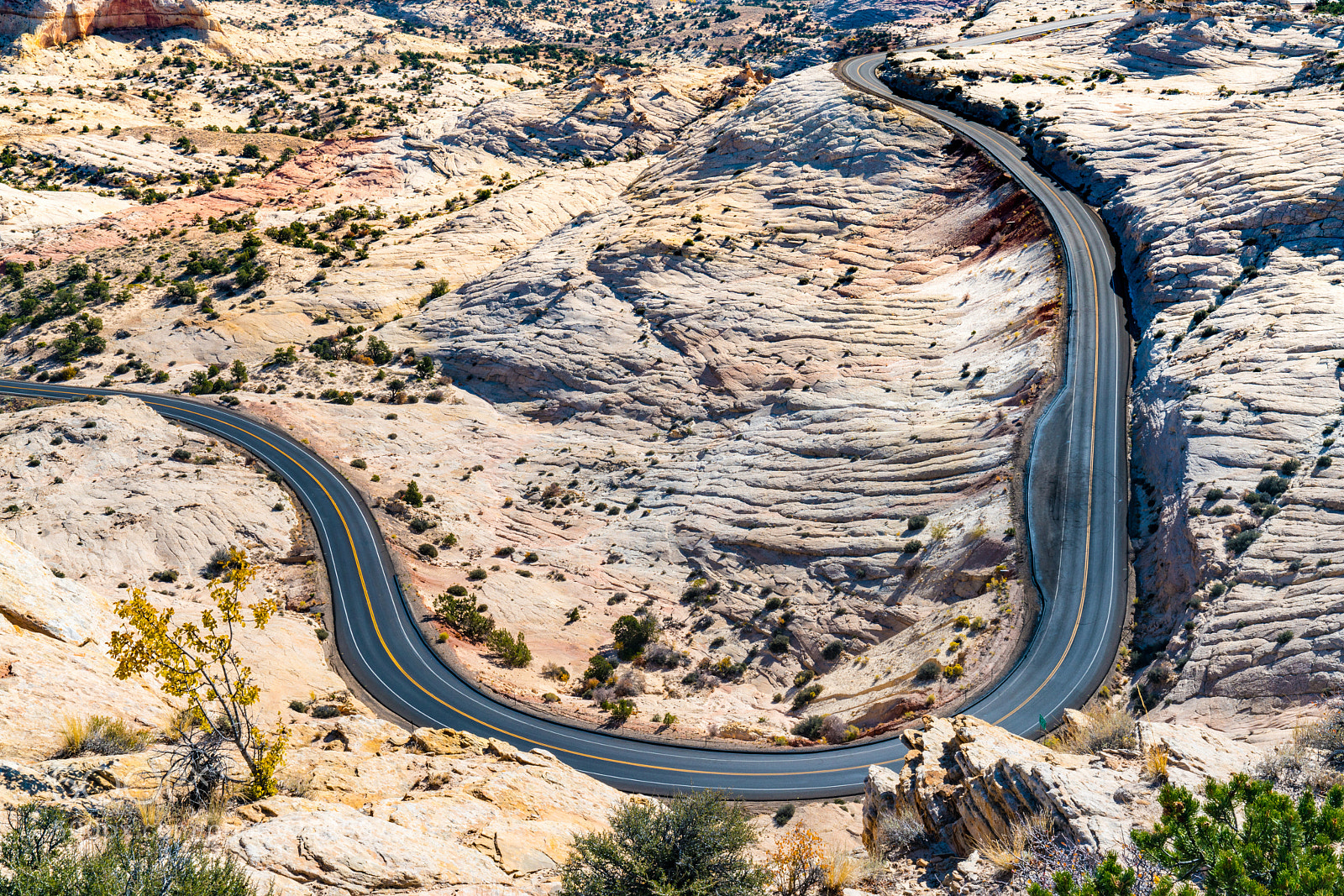 Sony a7R II sample photo. Winding through the grand photography