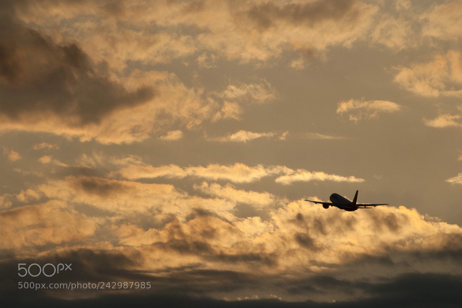Pentax K100D sample photo. Up and away photography