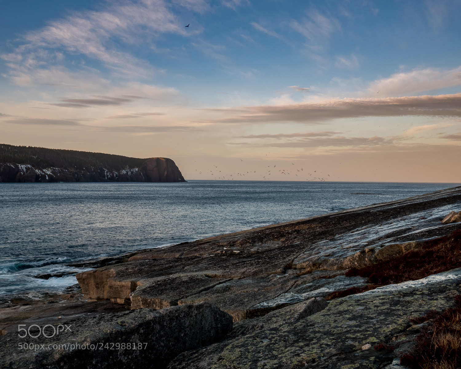 Panasonic Lumix DMC-GX85 (Lumix DMC-GX80 / Lumix DMC-GX7 Mark II) sample photo. Red head cliff photography