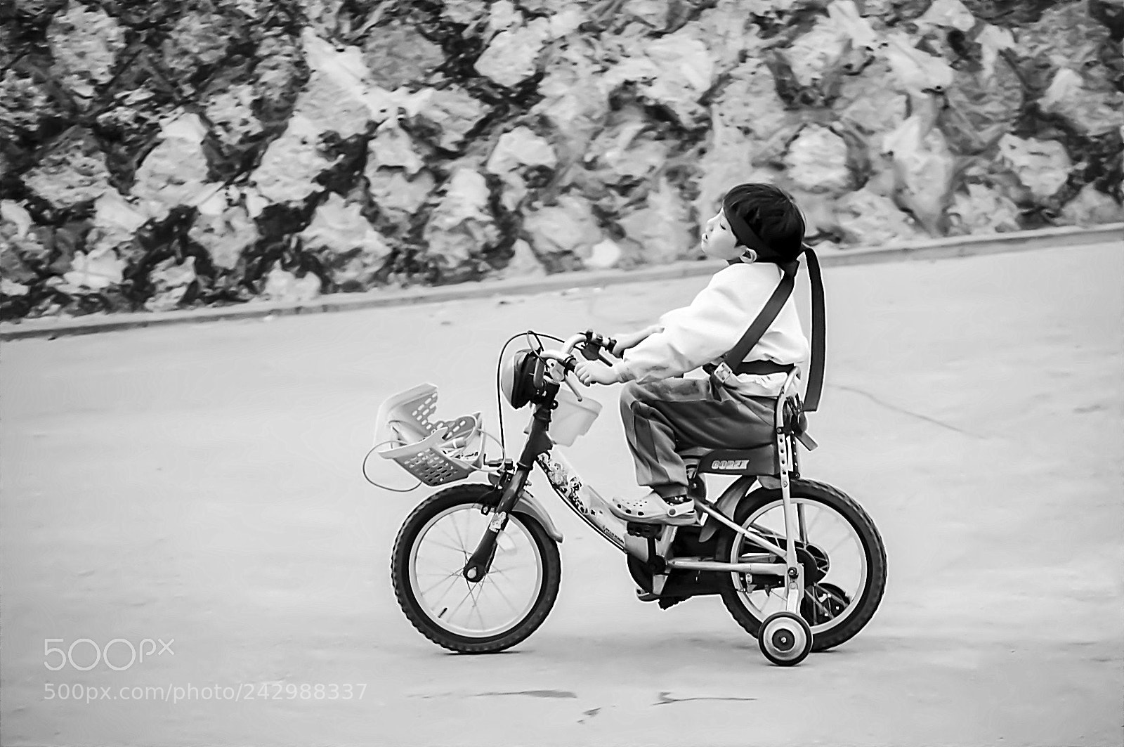 Nikon D3200 sample photo. Where is he going photography